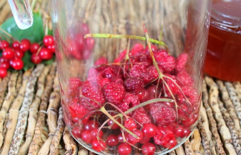 1. Этап. Морс из малины и калины: Малину и калину высыпаем в кувшин. Веточки калины не убираем.