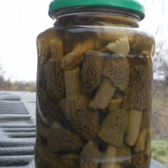Сморчки маринованные
