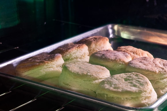 1. Этап. Печенье на смальце: Выпекайте в разогретой духовке минут 15 при 230 С - вы увидите как печенья поднимутся.