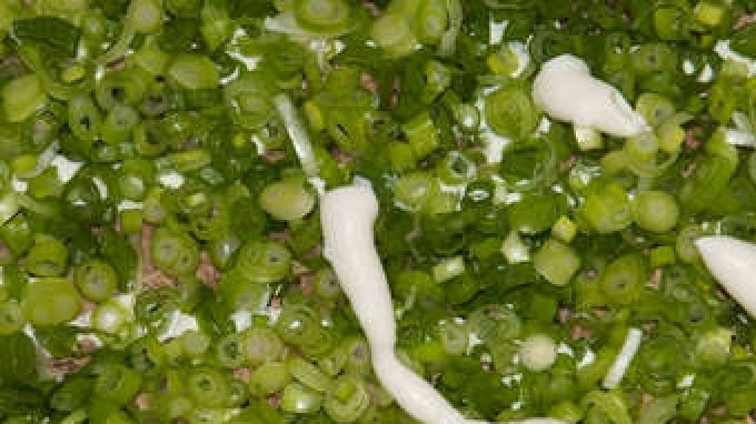 1. Этап. Салат из ставриды: Слой ставриды засыпаем мелко порезанным зеленым луком и слегка присолим и поперчим его и потом опять смазываем майонезом. Слой лука желательно слегка придавить, чтобы он хорошо пропитался.