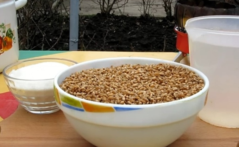 1. Этап. Брага на пшенице без дрожжей: Подготовьте все необходимые ингредиенты.