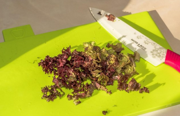 1. Этап. Салат Лолло росса: Салат 