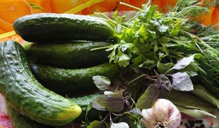 1. Этап. Огурцы-пятиминутка: 1. Моем и чуть обсушиваем огурчики, обрезаем у них попки. При желании можно нарезать их ломтиками. Поместим их в пакет, добавим все специи, чеснок и соль.