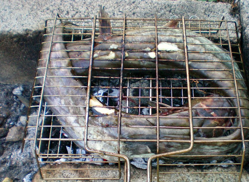 1. Этап. Рыба под белым маринадом: Для приготовления рыбы подготовим мангал. Открытого огня не должно быть, только угли, которые дают умеренный жар.