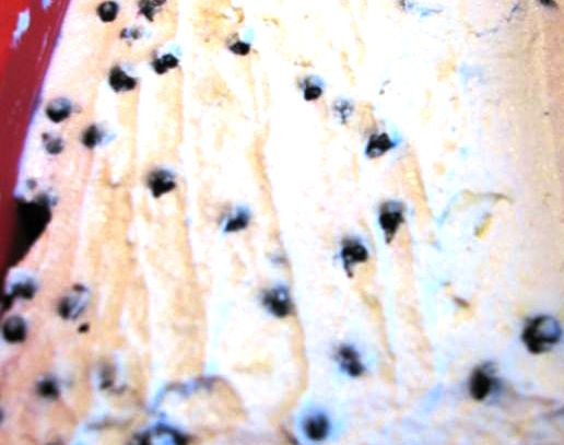 1. Этап. Творожная запеканка со смородиной: Сверху выложите остальной творог.