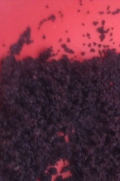 1. Этап. Бездрожжевые булочки Со смаком: Мак запариваем кипятком и мнем.