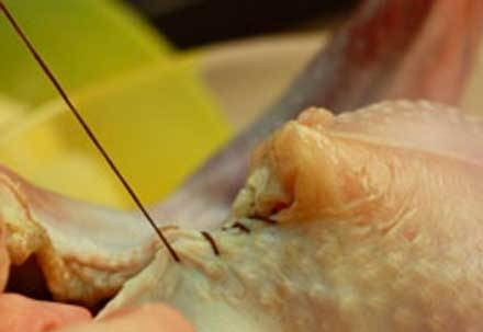 1. Этап. Индейка, фаршированная картофелем и грибами: Теперь нам необходимо аккуратно зашить индейку с помощью нитки и иголки. Зашивайте хорошо, чтобы потом в духовке начинка не вытекала.