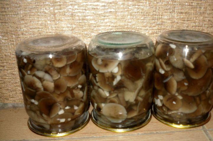 1. Этап. Маринованные опята с чесноком: Закатываем банки, переворачиваем их дном вверх и оставляем так до полного остывания. Храним опята в прохладном темном месте. Приятного аппетита!