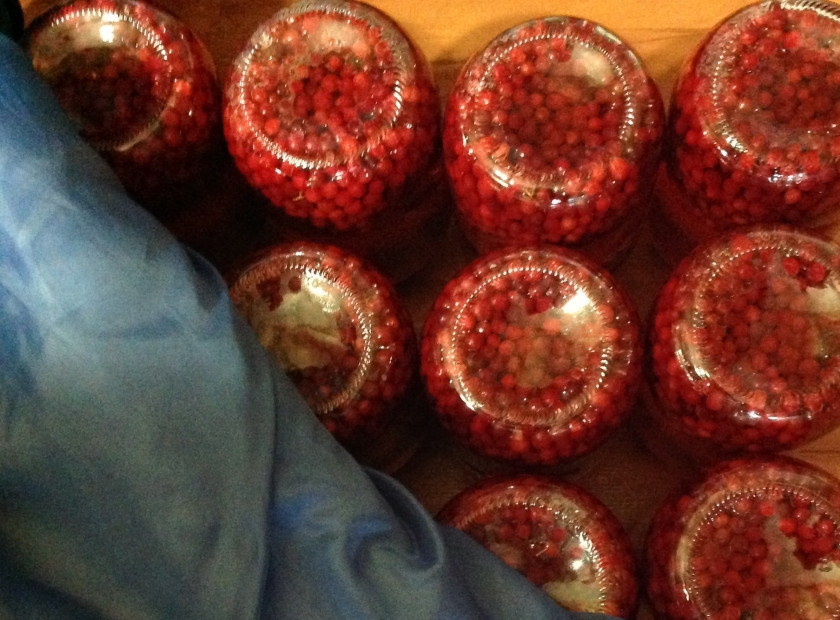 1. Этап. Компот из брусники на зиму: Все закатанные банки выставляем на пол дном вверх и накрываем одеялом на 12 часов.