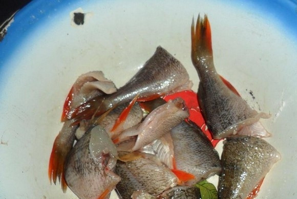 1. Этап. Окунь жареный: Рыбу очистите от чешуи. Удалите головы и кишки. Нарежьте тушки крупными кусками. Всё тщательно промойте.