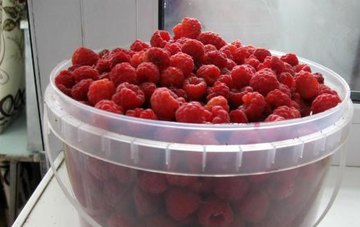 1. Этап. Варенье из смородины с малиной: Промываем малину под холодной водой и даем ей время немного высохнуть.