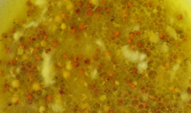 1. Этап. Салат из тунца в масле: Сделайте заправку, смешав масло, горчицу, соль, сахар, перец и лимонный сок.