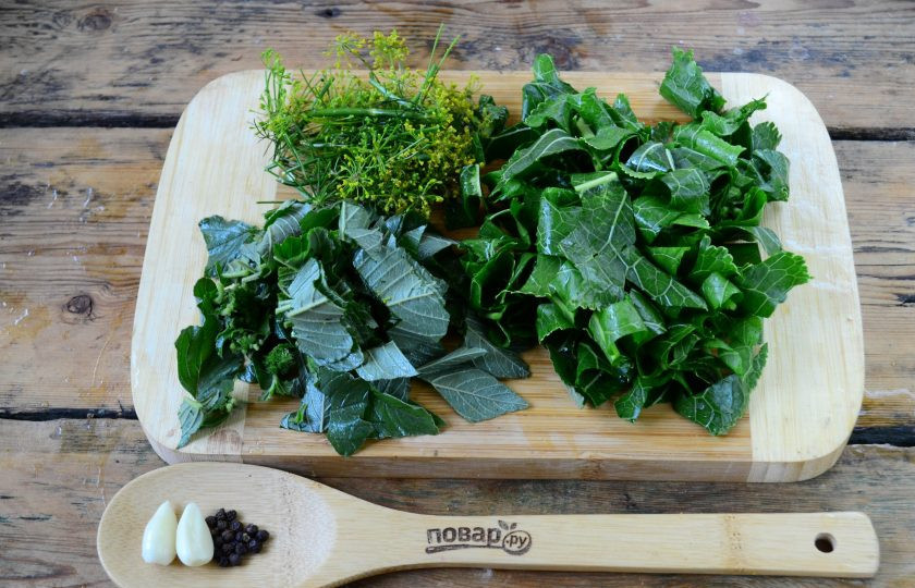 1. Этап. Малосольные огурцы за сутки: Листья хрена и щирицы порежьте достаточно крупно, а зонтики укропа порвите на несколько частей. Всю зелень перемешайте.