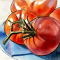 Broiled Tomatoes with Goat Cheese and Fennel Pollen