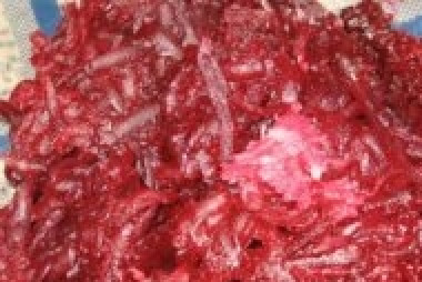 1. Этап. Холодник из свеклы на воде: Свеклу отварить и натереть на терке. Добавить тертый чеснок.