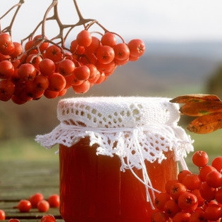 Варенье из лесной рябины