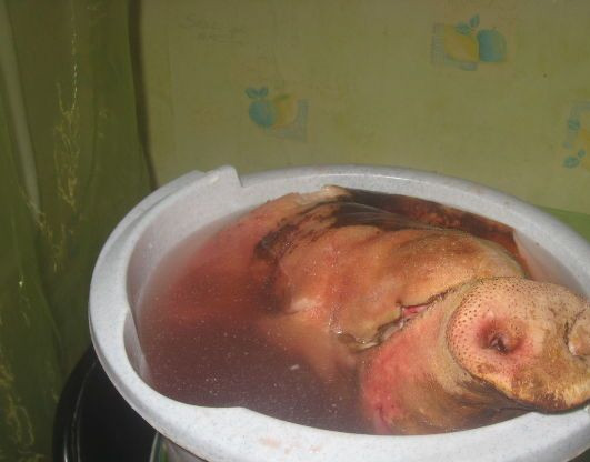 1. Этап. Паштет из свиной головы: 2. Замачиваем на ночь все составляющие, а утром приступаем к их тщательной обработке. После мытья нарезаем на части и отправляем вариться.