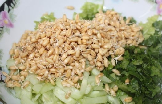 1. Этап. Салат с пророщенной пшеницей: Смешайте все перечисленные ингредиенты, добавьте к ним пшеницу.
