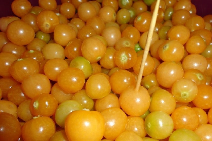 1. Этап. Заготовки из физалиса: 3. Теперь нужно наколоть каждую ягодку. Это кропотливая работа, но она положительно повлияет на результат.