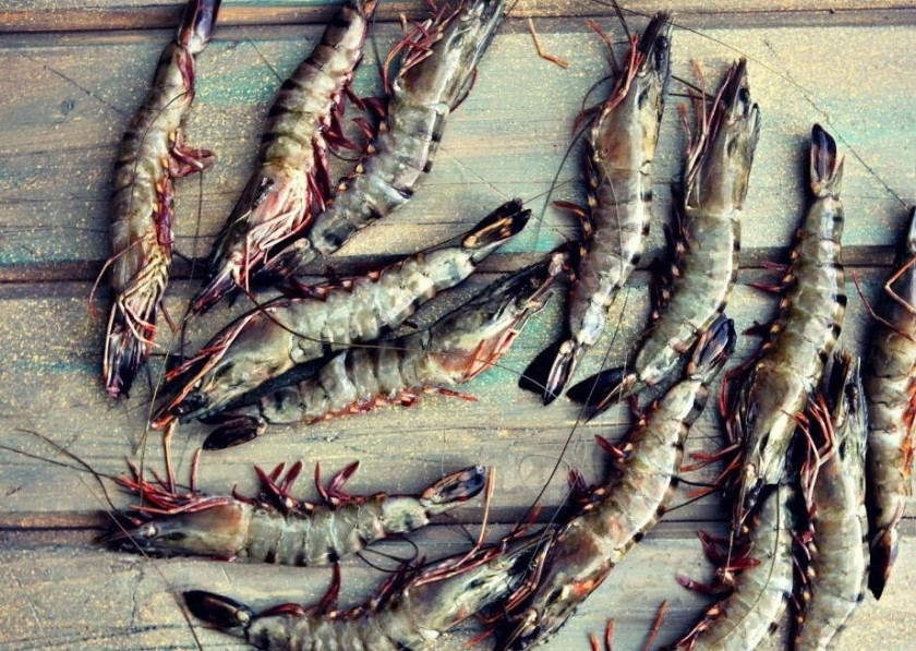 1. Этап. Тигровые креветки на мангале: 1. Если вы любитель морепродуктов, то это рецепт для вас. Готовить тигровые креветки - одно удовольствие, и делать это нужно, обязательно оставляя креветки в панцире. Итак, тщательно моем наши креветки и готовим для них маринад.