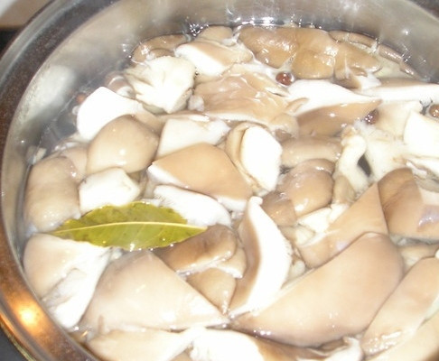 1. Этап. Вешенки, маринованные на закуску: В кипящий маринад выкладываем вешенки и варим их в течение 5 минут.