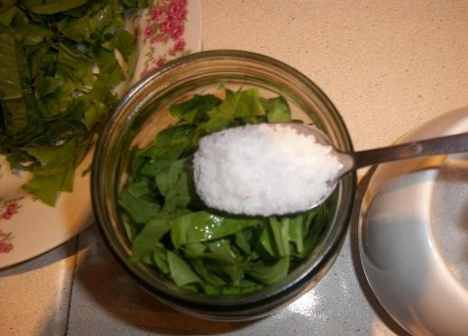 1. Этап. Щавель на зиму (консервация): В остывшие банки укладываем щавель, но не до самого верха. Добавляем соль и сверху — еще щавель, чтобы была полная банка.