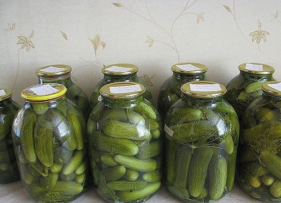 1. Этап. Огурцы Теща и зятек: Залейте банку рассолом до самых краёв, добавьте 1 чайную ложку уксусной эссенции на литр рассола. Закройте крышкой, укутайте в одеяло и переверните вверх дном.