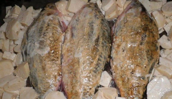 1. Этап. Карась в духовке с картошкой: Противень смазываем подсолнечным маслом и в центр выкладываем карасей, картофель раскладываем по бокам. Ставим в разогретую до 180 градусов духовку и запекаем до золотистой корочки. Обычно на это уходит 30-40 минут, но рыбу и картофель обязательно надо проверить на готовность, проткнув их зубочистками. Готовое блюдо выкладываем на тарелки и наслаждаемся замечательным вкусом.