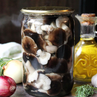 Маринованные рядовки на зиму