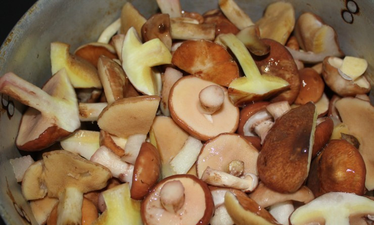 1. Этап. Маринованные маслята в масле: Грибы необходимо залить холодной водой на 1 час (так их легче мыть), затем почистить грибы губкой в холодной воде и разрезать на 2-4 части (зависит от размера грибов).