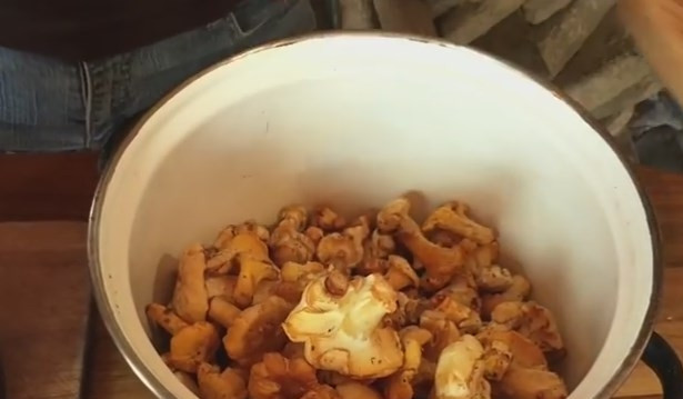 1. Этап. Жареные грибы лисички с чесноком в сливочном масле: 1. Лисички залейте холодной водой на полчаса, чтобы грязь и мусор отмокли, затем сполосните грибы и переложите в другую посуду.