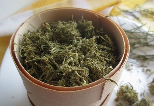 1. Этап. Хвоя сосновая ферментированная: После просушки поместить хвою в ёмкость с плотной крышкой. Аромат в готовом виде приятный, мягкий, хвойный.