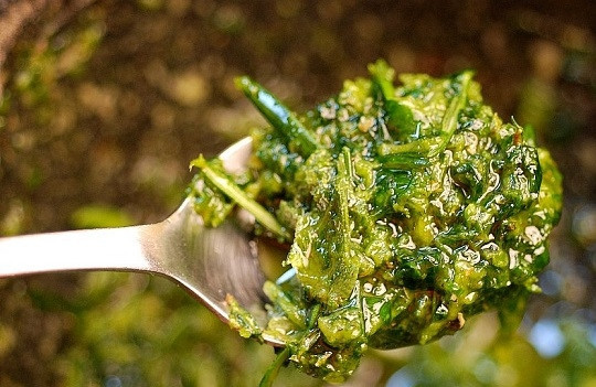 1. Этап. Курица, маринованная с чили и шалфеем: 3. Выжмите туда же сок лимона и добавьте по вкусу соль. Все тщательно перемешайте. Вот такая пикантная и безумно ароматная масса у нас получилась.