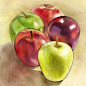 Apple-Chestnut Stuffing