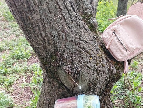 1. Этап. Перечный соус с колбасками Пикник интроверта: В собранном виде стакан выглядит так