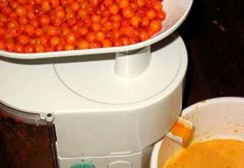 1. Этап. Варенье из облепихи без косточек: 2. Современная подручная техника данного типа отлично справляется с такой задачей. В облепиховый сок добавьте сахар. Расчет такой: 1,5 кг сахара на один литр сока.