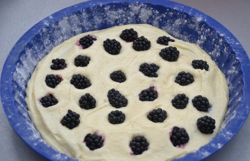 1. Этап. Творожный пирог с ежевикой: Выложите в форму половину творожного теста, сверху разложите ягоды ежевики.