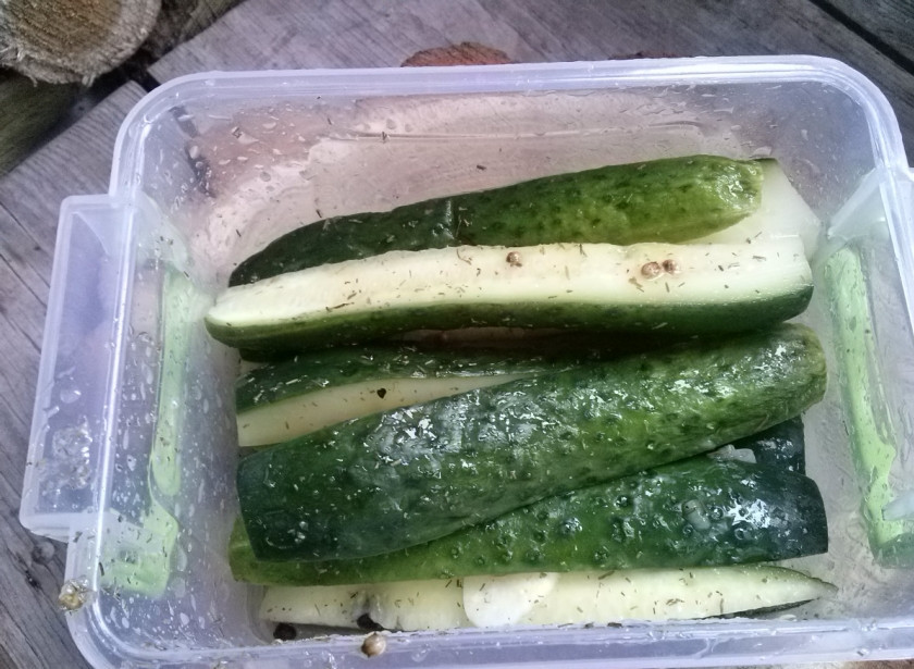 1. Этап. Маринованные огурцы без закатки: Когда огурцы пустят сок, встряхните еще раз.