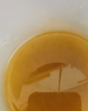 1. Этап. Салат с нутом и манго: Сделать заправку, состоящую из оливкового масла, лимонного сока, жгучего красного перца и соли. Полить салат, тщательно перемешав.