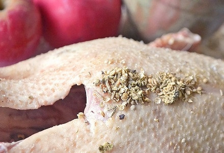 1. Этап. Гусь, фаршированный рисом и сухофруктами: Теперь гуся необходимо опустить в кипящую воду шеей вниз. Держать в таком положении ровно минуту. Потом опускаем со стороны хвоста тоже на минуту. Высушиваем птицу и натираем внутри и снаружи солью, перцем и специями. Отправляем на холод в идеале на 2-3 дня, но можно и на сутки.