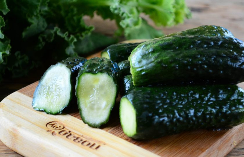 1. Этап. Малосольные огурцы за сутки: Через сутки малосольные огурцы будут готовы. Они получили приятный аромат и характерный привкус. Но цвет таких огурчиков все еще насыщенно-зеленый.