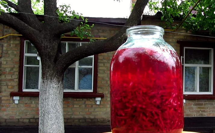 1. Этап. Квас из красной свеклы: Сложите марлю в несколько раз, накройте ею горлышко. Затем поставьте бутыль в темное прохладное место на три дня.