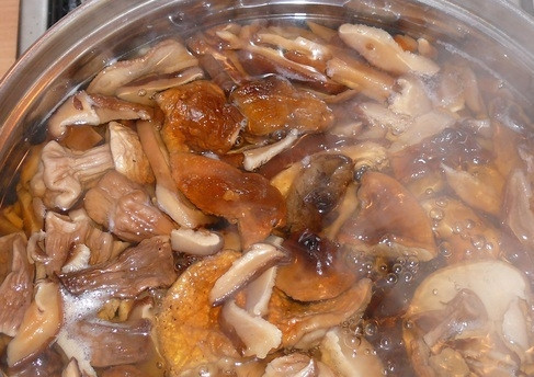 1. Этап. Грибная икра из сушеных грибов: Вновь залейте грибы водой в кастрюле. Поставьте вариться их на 4 часа на маленький огонь.