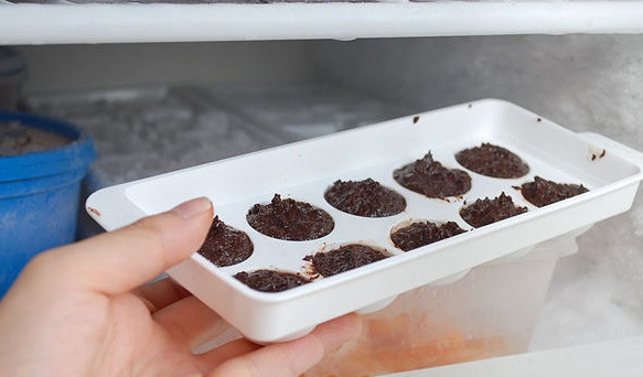 1. Этап. Домашний шоколад: 4. Приготовленную шоколадную смесь выложите в формочки. Можно использовать формочки для льда. Отправляйте шоколад в морозилку.