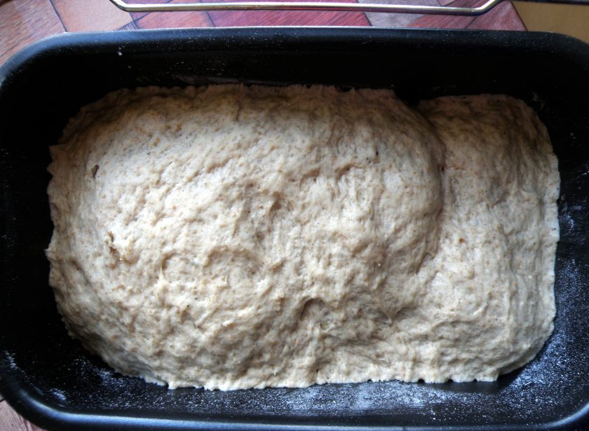 1. Этап. Хлеб серый с отрубями: Вымешанное тесто должно подойти и увеличиться в объеме в три раза.