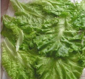 1. Этап. Рулет из лаваша с курицей: Кладем поверх лаваша листья салата.