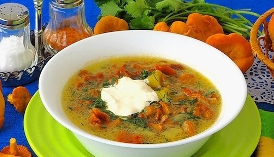 1. Этап. Суп грибной из лисичек: Приятного аппетита!