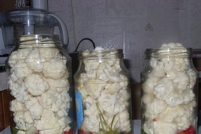 1. Этап. Цветная капуста консервированная: В банки плотно утрамбовать капусту.