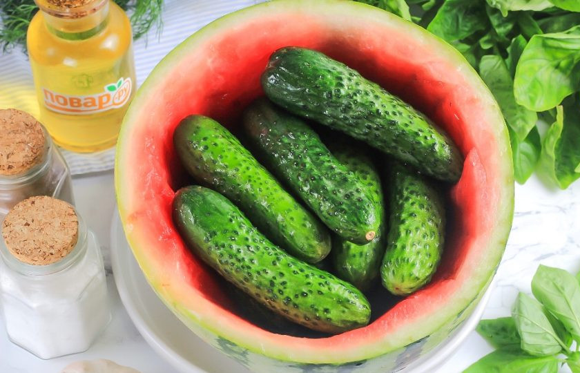 1. Этап. Малосольные огурцы в арбузе: Выложите промытые огурцы в арбузную емкость. Не заполняйте до верха, они должны быть покрыты рассолом.