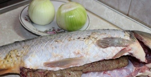 1. Этап. Сазан в духовке с майонезом: Чистим нашу рыбу, очень аккуратно вскрываем брюшко так, чтобы не повредить желчный пузырь. Аккуратно выньте все внутренности. Мне попался сазан с икрой, и я решила ее не доставать. Удаляем жабры, аккуратно моем нашу рыбу.